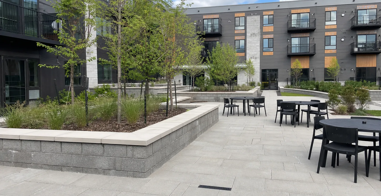Shared courtyard landscaping scene